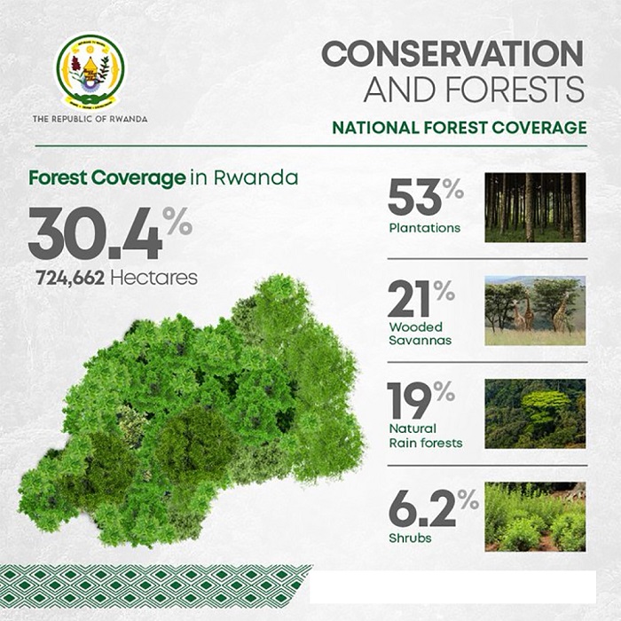 INFOGRAPHIC_Forest_Rwanda